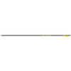 Gold Tip Hunter Pro Arrows 400 4 Fletch 6 Pk.